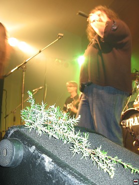 img00035.jpg